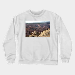 WGC_3595 Crewneck Sweatshirt